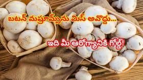 చిన్న మష్రూమ్‌లో పెద్ద లాభాలు… బటన్ మష్రూమ్స్ ప్రత్యేకత