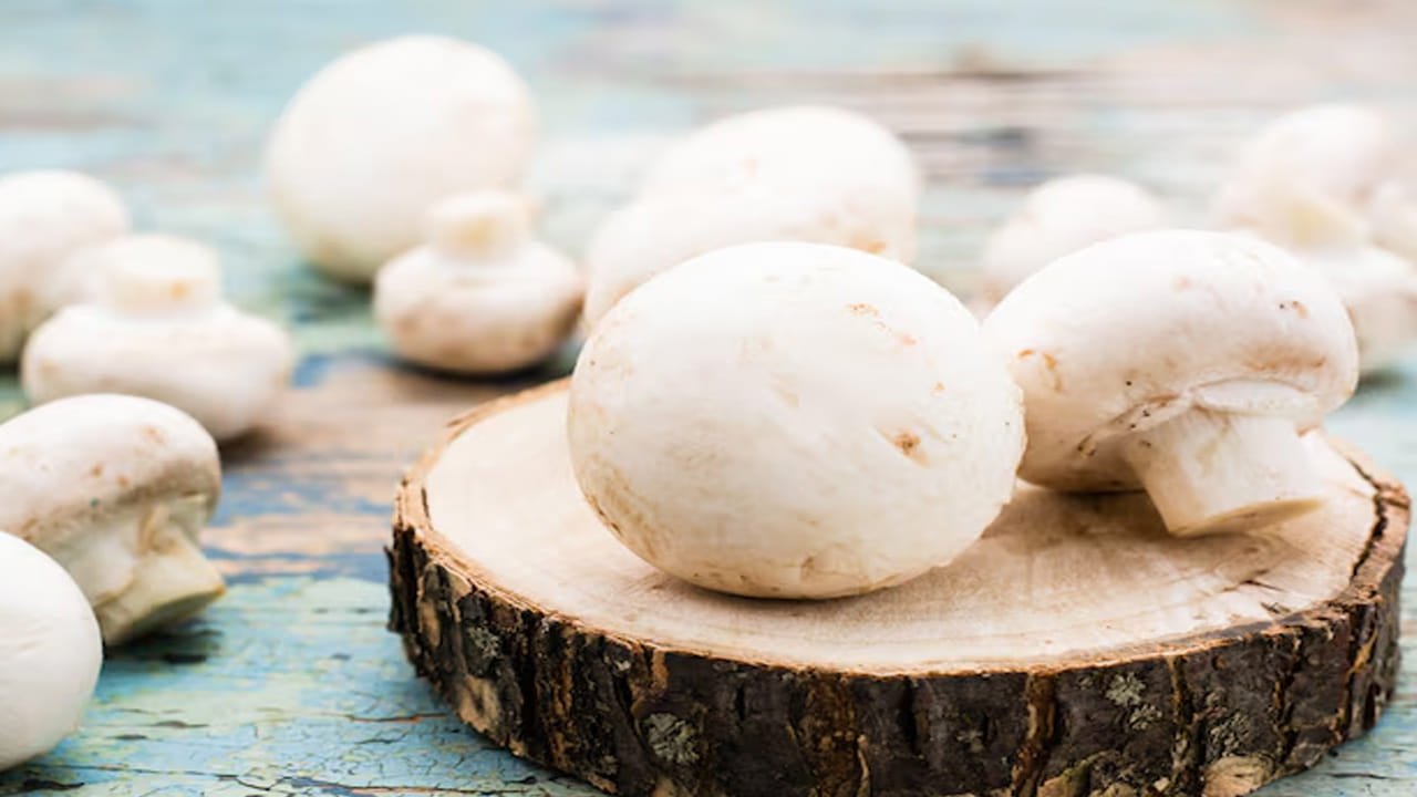 పుట్టగొడుగులపై ఇటీవల జరిపిన అధ్యయనంలో రోజుకు ఐదు బటన్‌ మాష్రూమ్స్‌ (చిన్న పుట్టగొడుగుల)ను తినడం వల్ల గుండె జబ్బులు, క్యాన్సర్, చిత్తవైకల్యంతో పోరాడటానికి సహాయపడుతుందని పరిశోధకులు కనుగొన్నారు. పుట్టగొడుగులలో యాంటీఆక్సిడెంట్లు ఎర్గోట్, గ్లూటాథియోన్ పుష్కలంగా ఉంటాయి. ఇవి శరీరాన్ని ఫ్రీ రాడికల్స్ నుండి రక్షించడంలో సహాయపడతాయి.