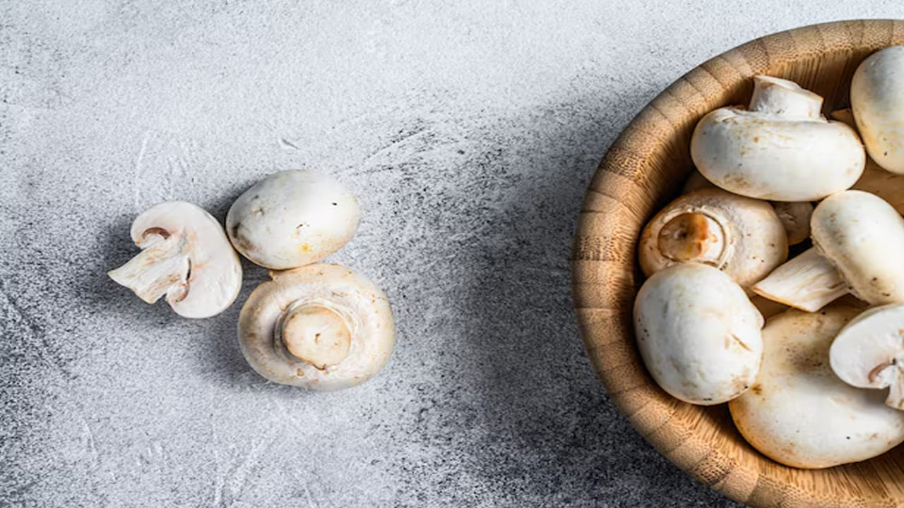 బరువు తగ్గాలని ప్రయత్నిస్తున్న వారికి కూడా ఇవి ఉపయోగకరంగా ఉంటాయి. ఉడికించినప్పుడు కూడా, పుట్టగొడుగులు వాటి ప్రోటీన్ కంటెంట్‌ను నిలుపుకుంటాయి. బటన్ పుట్టగొడుగులు విటమిన్ బి-కాంప్లెక్స్, విటమిన్ డి, పొటాషియం వంటి పోషకాలకు మంచి మూలం. బటన్‌ పుట్టగొడుగులలో ఉండే ప్రోటీన్‌ శరీర కండరాలను బలోపేతం చేయడం ద్వారా రోజువారి శక్తిని నిర్వహించడంలో సహాయపడుతుంది. 