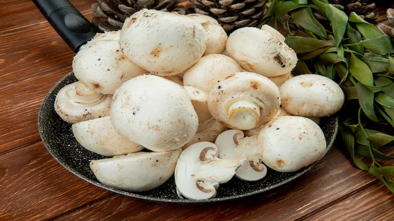 బటన్ పుట్టగొడుగులను తినడానికి ఉత్తమమైనవిగా భావిస్తారు . అవి ప్రతిచోటా సులభంగా లభిస్తాయి. పుట్టగొడుగులలో ప్రోటీన్, కార్బోహైడ్రేట్లు, విటమిన్లు కూడా పుష్కలంగా ఉంటాయి. వాటిలో కేలరీలు కూడా చాలా తక్కువగా ఉంటాయి. అందుకే మధుమేహ వ్యాధిగ్రస్తులు వీటిని తమ ఆహారంలో చేర్చుకోవాలని సలహా ఇస్తారు. 