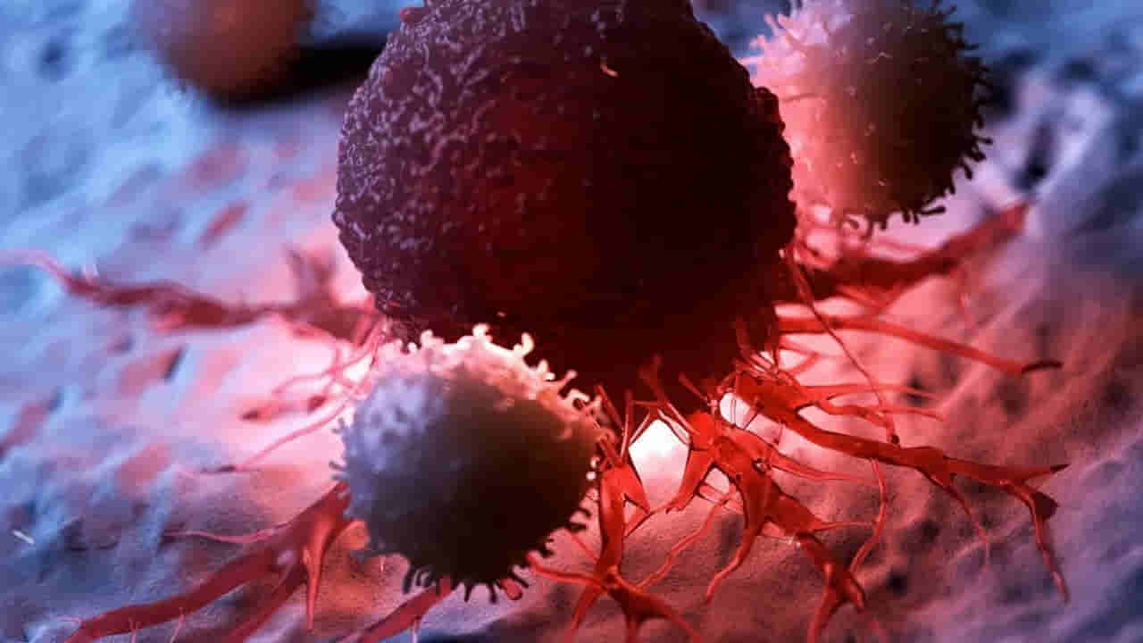 Cancer: అసలు మనిషి శరీరంలో క్యాన్సర్ ఎలా పుడుతుంది..?
