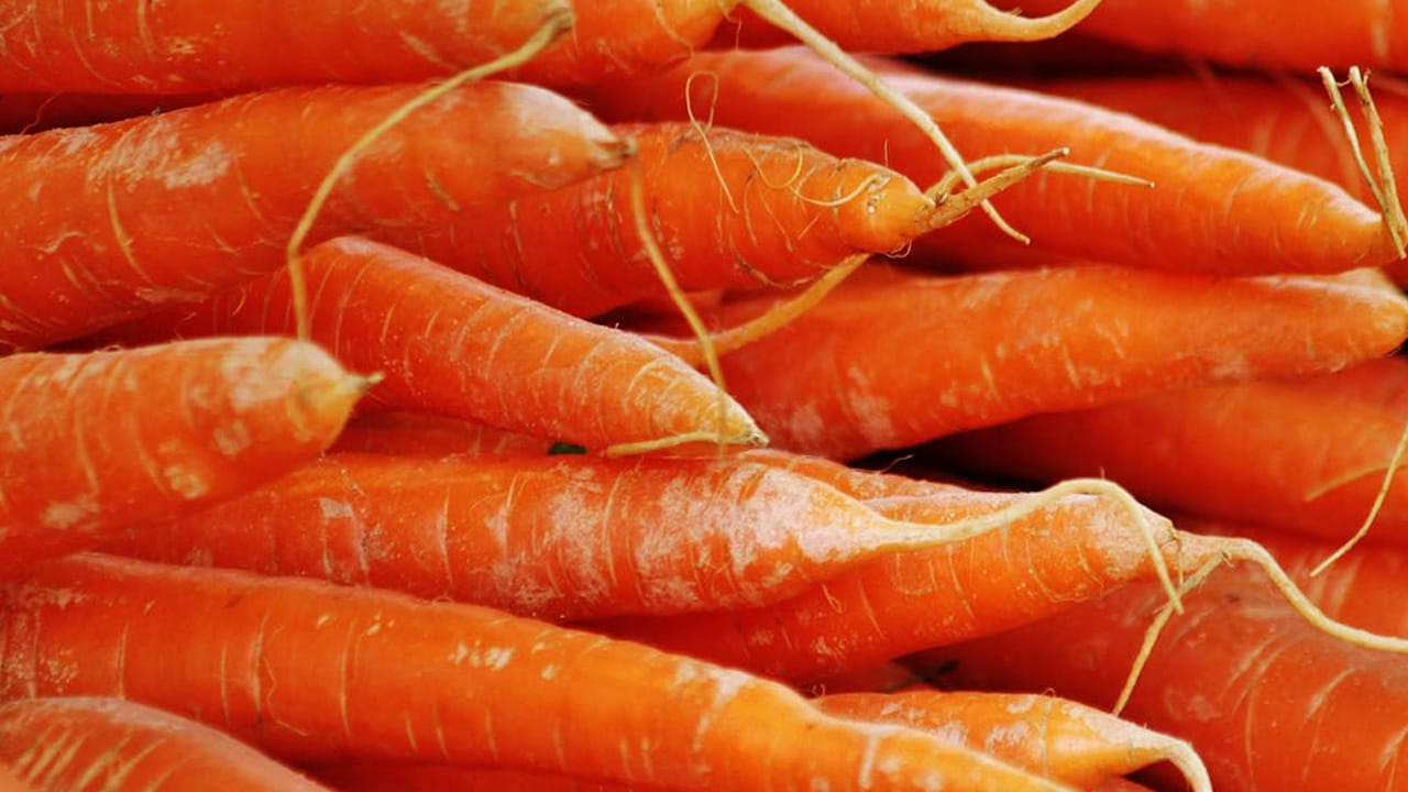 క్యారెట్లు, ఆపిల్ పండ్లు, ద్రాక్ష పండ్లు, పుదీనాను కలిపి జ్యూస్ తయారు చేసుకుని తాగాలి. అయితే ఈ జ్యూస్ తయారుచేసేటప్పుడు అందులో చక్కెర లేదా ఉప్పు కలపవద్దు. ఈ జ్యూస్‌ను ఉదయాన్నే ఖాళీ కడుపుతో తాగాలి. ఈ జ్యూస్ ఫ్యాటీ లివర్‌కు మాత్రమే కాకుండా కామెర్లకు కూడా మేలు చేస్తుంది. ప్రతిరోజూ ఉదయం ఖాళీ కడుపుతో దీనిని తాగడం వల్ల అనేక ప్రయోజనాలు కలుగుతాయి.