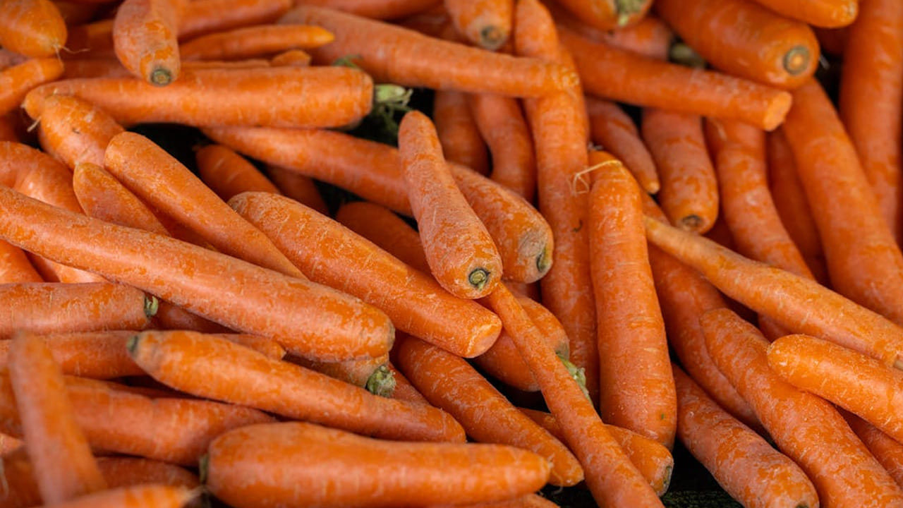 ముఖ్యంగా నేటి కాలంలో ఫ్యాటీ లివర్ సాధారణ సమస్యగా మారింది. తప్పుల ఆహారపు అలవాట్ల కారణంగా ఫ్యాటీ లివర్ సమస్య తలెత్తుంది. కానీ కాలేయాన్ని నిర్విషీకరణ చేసి, ఆరోగ్యంగా ఉంచడంలో సహాయపడటంలో కారెట్లు కీలకంగా పనిచేస్తాయి.