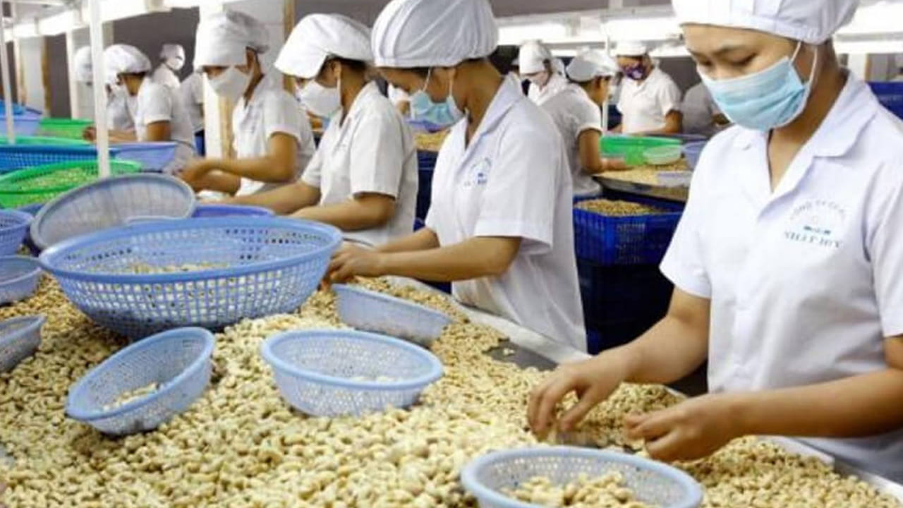 ముందుగా, రైతులు జీడి మొక్కల నుంచి పచ్చి పిక్కలను సేకరించి, వాటిని ఎండబెట్టి మిల్లులకు విక్రయిస్తారు. మిల్లులకు చేరుకున్న తర్వాత, వివిధ సైజులలో ఉండే జీడి పిక్కలను డీస్టోనర్ మెషిన్ ద్వారా శుభ్రం చేస్తారు. ఈ మెషిన్ పిక్కలలోని రాళ్ళు, దారాలు, లోహపు వస్తువులను తొలగిస్తుంది.