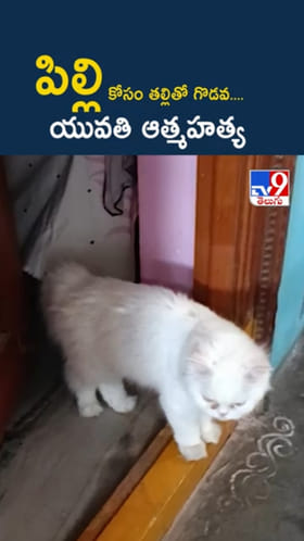 Pet Love: పిల్లి కోసం తల్లితో గొడవ....యువతి ఆత్మహత్య