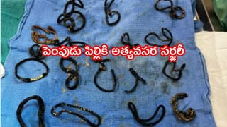 బాబోయ్.. ఊసరవెల్లిలా రంగులు మార్చే వింత కీటకం.. 11 రోజుల్లోనే గులాబీ నుండి ఆకుపచ్చగా..! కారణం