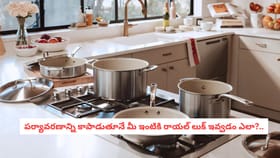 పర్యావరణాన్ని కాపాడుతూనే మీ ఇంటికి రాయల్ లుక్ ఇవ్వడం ఎలా?..