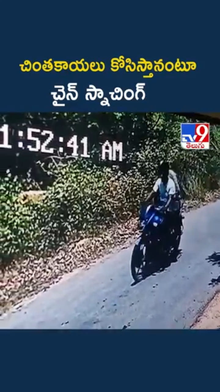 Chain Snatching: చింతకాయలు కోసిస్తానంటూ చైన్‌ స్నాచింగ్