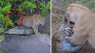 Pune Techie: ఇలాంటివాళ్లూ ఉంటారా? రూ. 47 లక్షల జాబ్ రిజెక్ట్ చేసిన టెక్కీ.. అసలు కారణం తెలిస్తే షాకవుతారు!