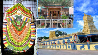 6 నెలలు సూర్యుడు కనిపించని లోకం..! చీకటిలోనే వెలిగిపోయే ద్వీపం ఎక్కడుందో తెలుసా