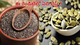 చియా సీడ్స్ Vs గుమ్మడి గింజలు.. ఆరోగ్యానికి ఏది మంచిది..?