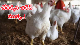 చేదెక్కిన చికెన్‌ ముక్క.. గుడ్డుతో సరిపెట్టుకుంటున్న సామాన్యుడు!