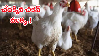 Driving Licence: డ్రైవింగ్ లైసెన్స్ కావాలంటే అదనంగా మరో టెస్ట్ రాయాల్సిందే.. తెలంగాణ ప్రభుత్వం కఠిన రూల్.. ఏప్రిల్ నుంచే..