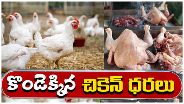 Chicken Prices Hike: మాంసం ప్రియులకు షాకింగ్ న్యూస్.. భారీగా పెరిగిన చికెన్ ధర