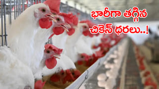 Andhra: ఐస్ క్రీం తిన్నా, అమ్మినా జరిమానా కట్టాల్సిందే.. పిల్లల కోసం గ్రామస్తుల సంచలన నిర్ణయం..