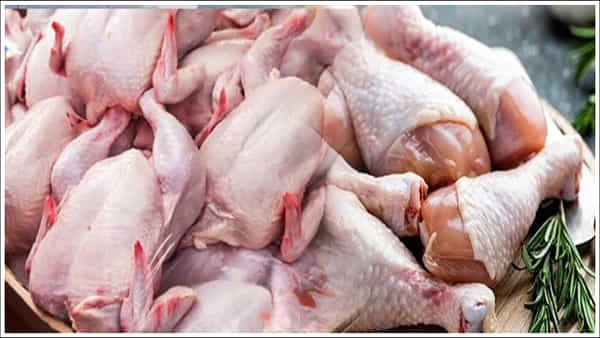 Chicken Prices: మాంసం ప్రియులకు బ్యాడ్న్యూస్.. కిలో చికెన్ ధర రూ.400