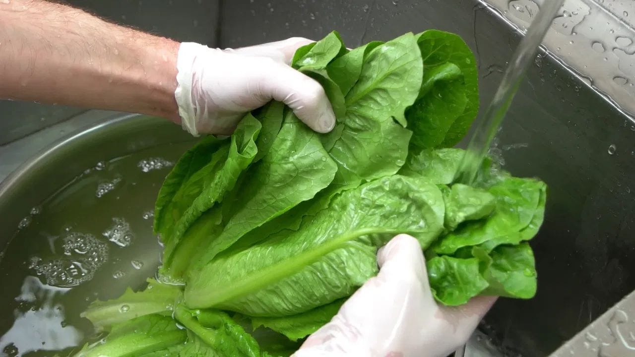 Cleaning Leafy Greens (1)