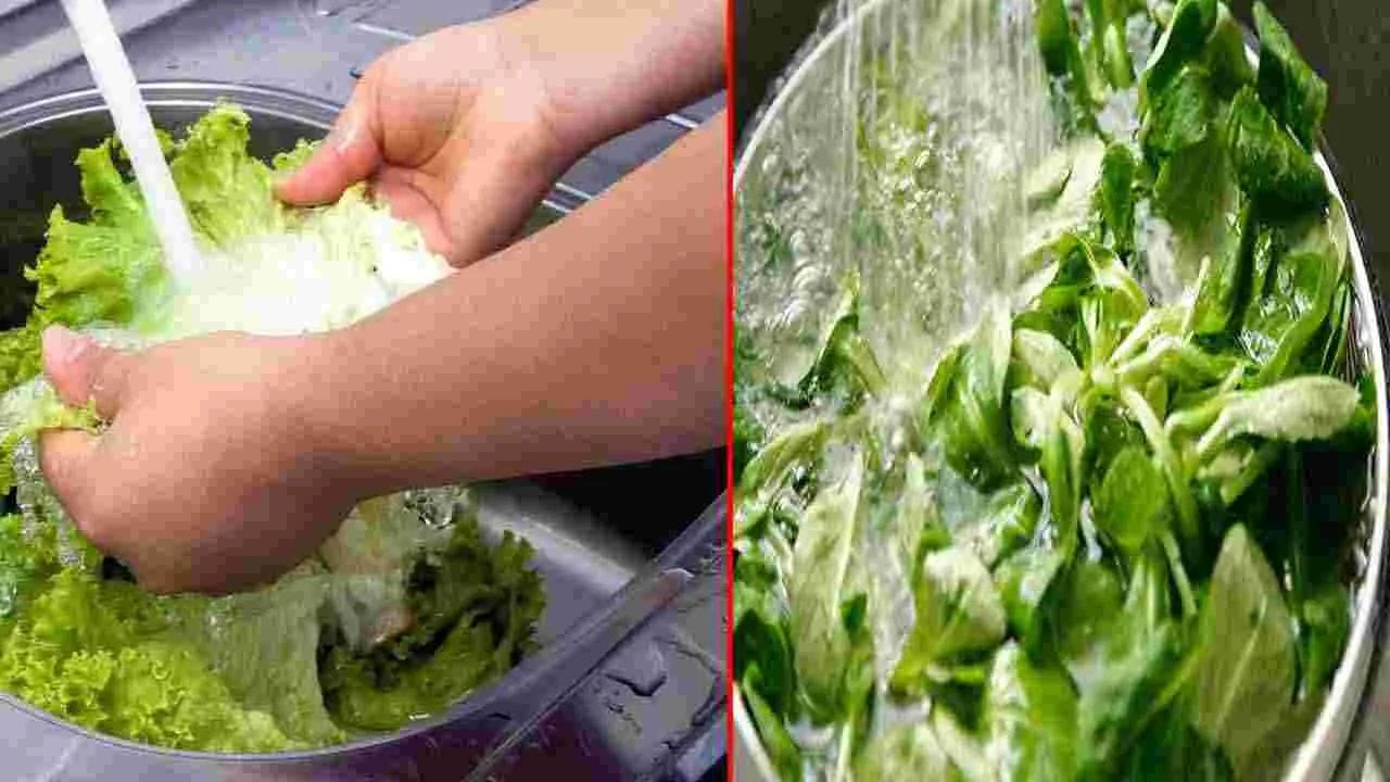 బేకింగ్ సోడా: కూరగాయల ఆకులకు అంటుకున్న పురుగులను తొలగించాలనుకుంటే, నీటిలో ఒక చెంచా బేకింగ్ సోడా కలపండి. ఇప్పుడు ఆకుకూరలను అందులో వేసి 15 నిమిషాల పాటు వదిలేయండి. తర్వాత వాటిని శుభ్రమైన నీటితో రెండు మూడు సార్లు కడగండి. పురుగులు సులభంగా ఊడిపోతాయి. మీరు కావాలనుకుంటే, ఆకుకూరలను వెనిగర్ నీటిలో కూడా ఉంచవచ్చు.