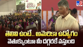 తెలివి ఉంటే.. అమెరికా ఉద్యోగం వెతుక్కుంటూ మీ దగ్గరకే వస్తుంది