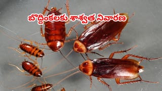సెలబ్రిటీ న్యూట్రిషనిస్ట్ నుపుర్‌ పాటిల్ వెల్లడించిన ‘సింపుల్’ ఫిట్‌నెస్ మంత్రం ఇదే!