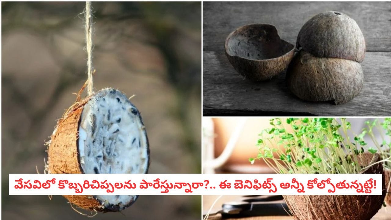 Coconut shell Art: వేసవిలో చల్లదనం ఇల్లంతా వ్యాపించాలా?.. కొబ్బరిచిప్పలతో అదిరిపోయే హోమ్ హ్యాక్స్
