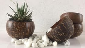 మనీ ప్లాంట్ నుండి పోర్టులాకా వరకు.. బాల్కనీకి కొత్త కళ!