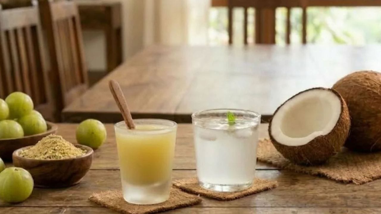ఎండ వేడి నుంచి కాపాడుకోవడానికి కొబ్బరినీళ్లు vs ఉసిరి రసం.. శరీరానికి ఎక్కువ చల్లదనాన్ని ఇస్తుంది