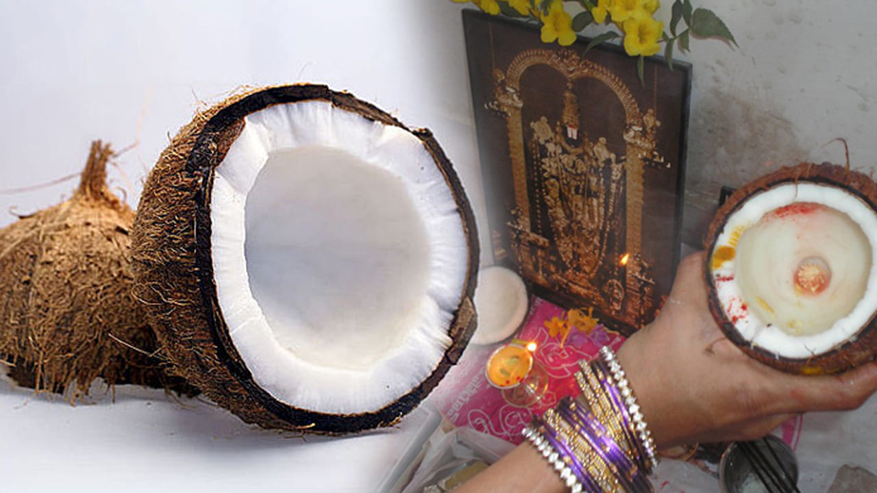 
జంతుబలికి బదులుగా..

అలాగే కొబ్బరికాయను మానవ శరీరానికి ప్రతీకగా కూడా భావిస్తారు. దాని గట్టి చిప్పను పుర్రెగా, లోపలి గుజ్జును మానవ మాంసంగా, నీటిని రక్తంగా పోలుస్తారు. పూర్వకాలంలో యజ్ఞాల సమయంలో జీవబలి ఆచారం ఉండేదని, కాలక్రమేణా దానికి బదులుగా కొబ్బరికాయను సమర్పించడం ప్రారంభించారని చెబుతారు. ఇది హింసారహిత మార్గంలో దైవానికి అర్పణ చేయడాన్ని సూచిస్తుంది.
