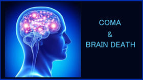కోమా - బ్రెయిన్‌ డెత్ వీటి మధ్య తేడా తెలుసా?