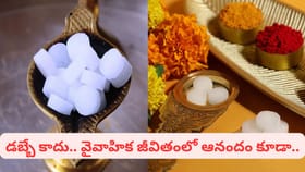 ఒక్క కర్పూరం బిళ్ళ.. ఇంట్లో శుభం, సంపద డబుల్ గ్యారెంటీ!