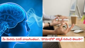 మీ మెదడు పవర్ నాలుగింతలు!.. 'పోమోడోరో' టెక్నిక్ గురించి తెలుసా?