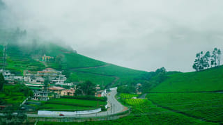 Leafy Vegetables: ఆకు కూరలు ఇలా శుభ్రం చేసే అలవాటు మీకూ ఉందా? వెంటనే మానేయండి..