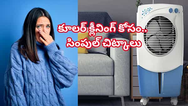 Air Cooler: మీ ఇంట్లో కూలర్ నుంచి నీచు కంపు వస్తోందా? ఈ సింపుల్ టిప్స్తో చెక్ పెట్టొచ్చు!