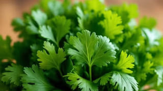 Summer Drinks: మండే ఎండల్లో మిమ్మల్ని చలచల్లగా ఉంచే సూపర్ డ్రింక్స్.. తాగేద్దామా!