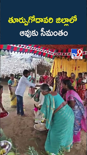 గోమాతకు సీమంతం.. గ్రామస్తులకు విందు భోజనం