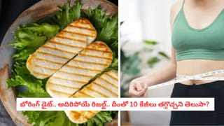Brinjal Tips: వంకాయలు కోయకుండానే గింజలు ఉన్నాయో లేవో ఇలా గుర్తించండి.. అద్భుతమైన చిట్కాలు!