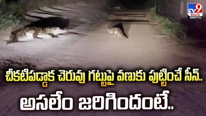 చీకటిపడ్డాక చెరువు గట్టుపై వణుకు పుట్టించే సీన్.. అసలేం జరిగిందంటే.. చీకటిపడ్డాక చెరువు గట్టుపై వణుకు పుట్టించే సీన్.. అసలేం జరిగిందంటే..