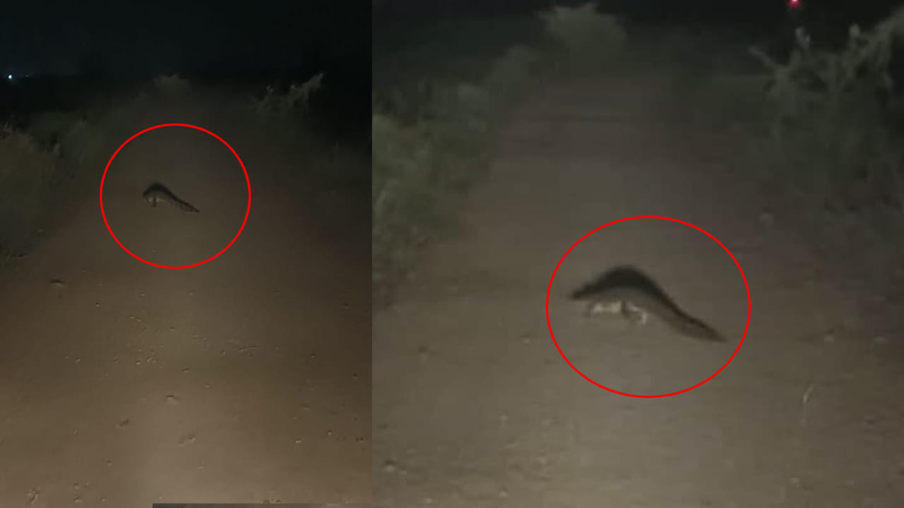 Wanaparthy: సరదాగా వాకింగ్ చేద్దామని రాత్రి చెరువు కట్టవైపు వెళ్లారు.. తీరా అక్కడ