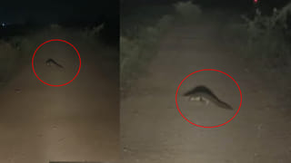 Wanaparthy: సరదాగా వాకింగ్ చేద్దామని రాత్రి చెరువు కట్టవైపు వెళ్లారు.. తీరా అక్కడ