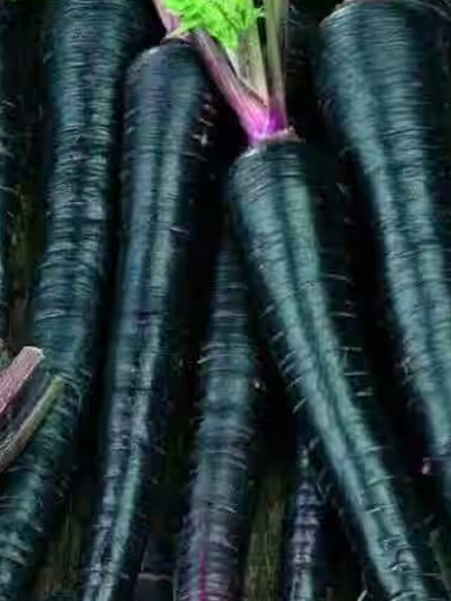 నల్లగా ఉన్నాయనుకునేరు.. ఆ సమస్యలకు సంజీవని!