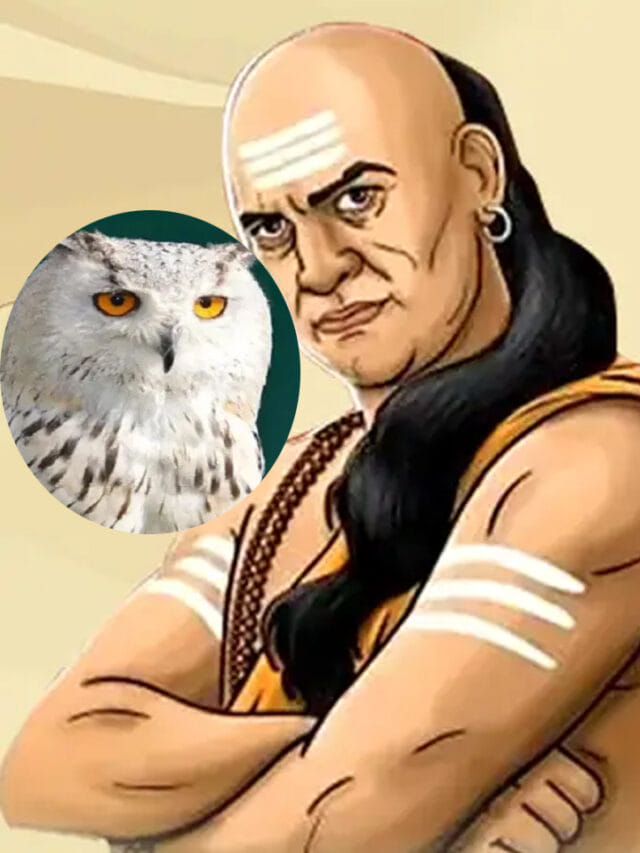 చాణక్య నీతి.. ప్రతి వ్యక్తి గుడ్ల గూబ నుంచి నేర్చుకోవాల్సినవి ఇవే