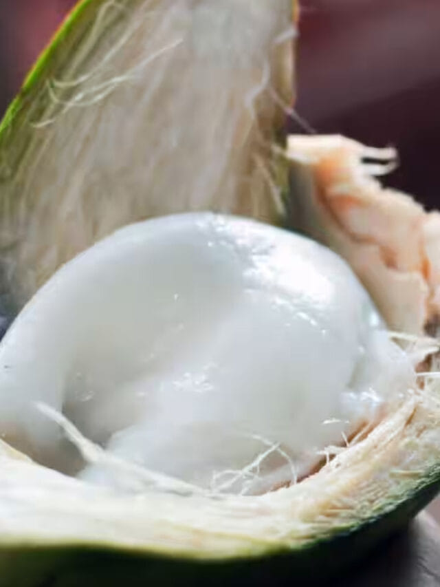 కొబ్బరి మలై.. ఎండాకాలంలో తింటే ఎన్ని లాభాలో తెలుసా?