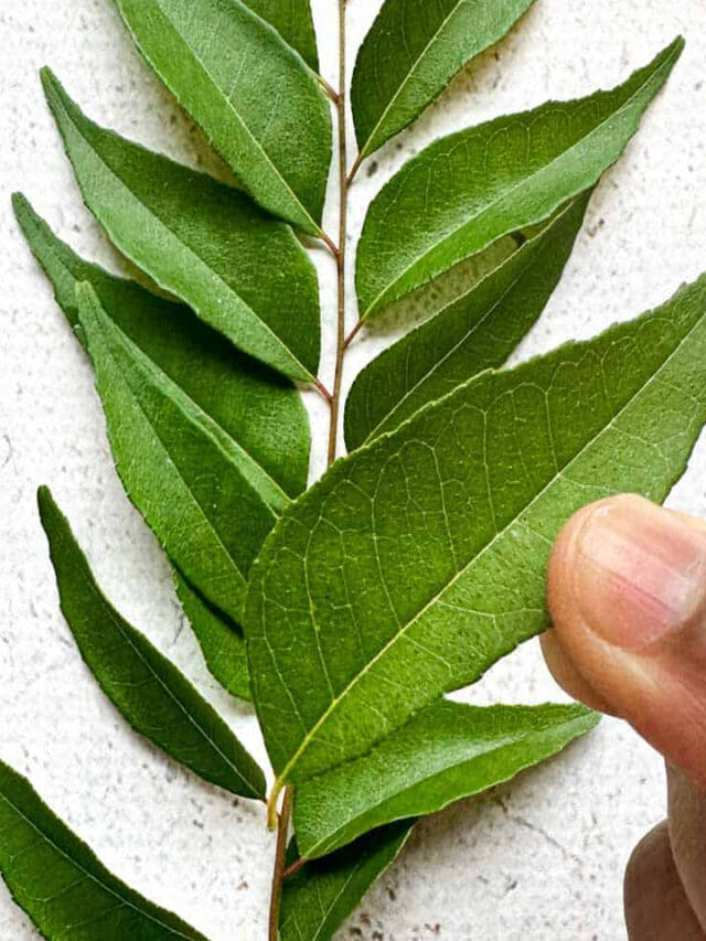 కరివేపాకుతో ఆరోగ్యం! చిన్న కథ కాదు