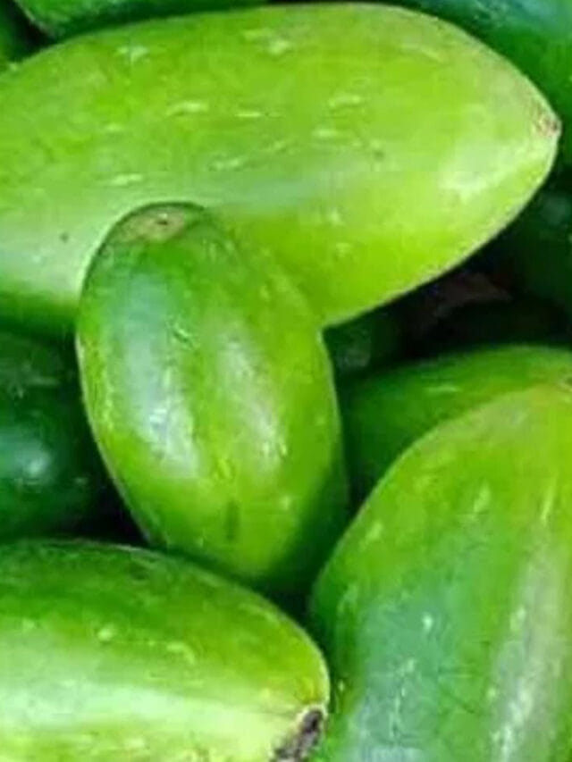 వీరు దొండకాయ తిన్నారో మటాషే.. పొరపాటున కూడా తినకూడదు!