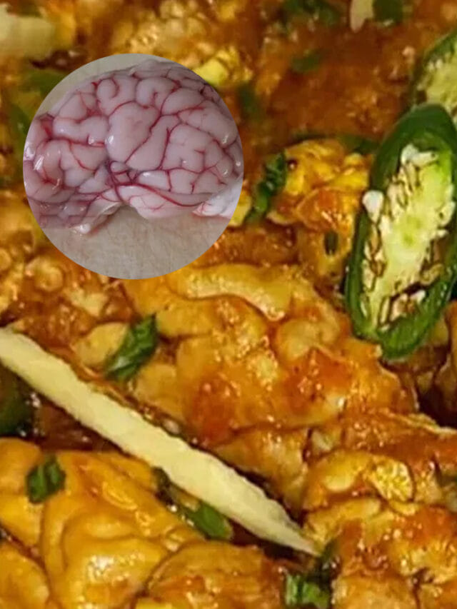 మేక మెదడు తింటున్నారా? అయితే ఇది తెలుసుకోండి!