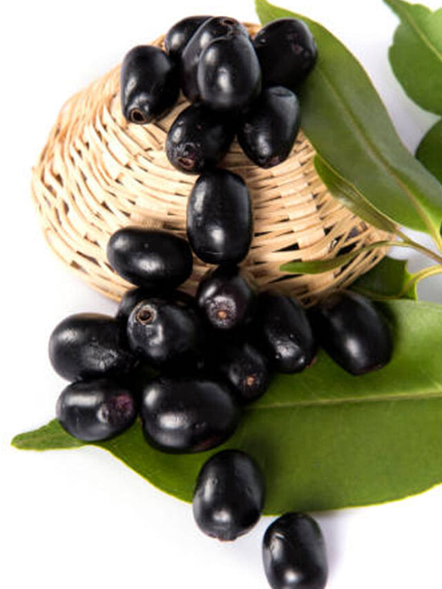 వీరు నేరేడు పండ్లు అస్సలే తినకూడదు.. తింటే విషంతో సమానమే!