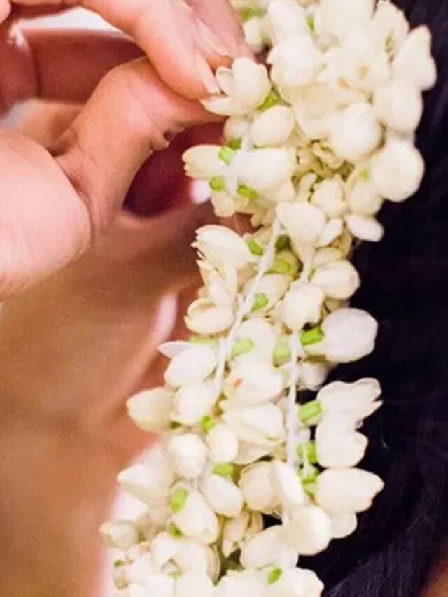 భార్యకు భర్త మల్లెపూలు కొనిపెడితే ఏం జరుగుతదో తెలుసా? అదృష్టమే అదృష్టం!