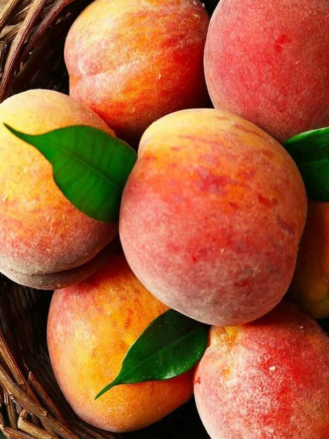 ఈ పండు తింటే 30 నిమిషాల్లో కడుపు క్లీన్.. గుండె పదిలం!