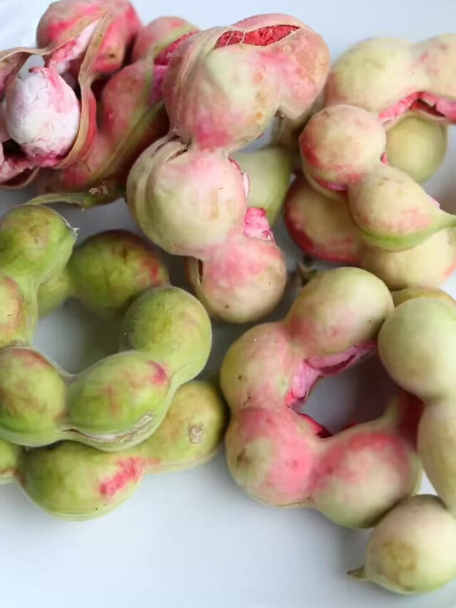 సమ్మర్ ఫ్రూట్.. పులిచింత తినడం వలన ఎన్ని లాభాలో తెలుసా?