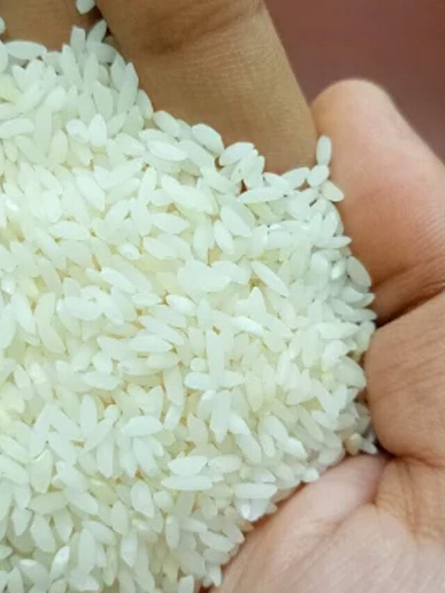 బియ్యం గింజలతో మీ అదృష్టం మారిపోతుందని తెలుసా?